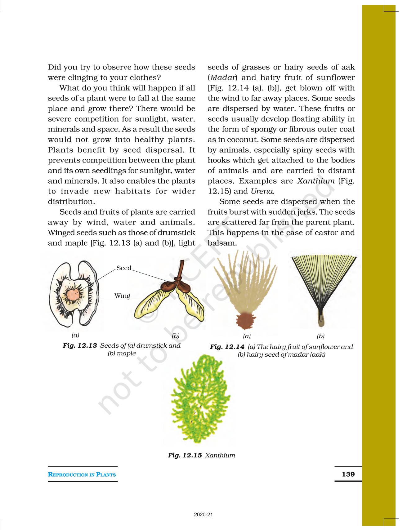 Reproduction In Plants NCERT Book Of Class 7 Science   Reproduction In Plants (7) 